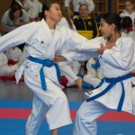 Österreichische Karate Meisterschaft 2024