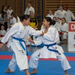 Österreichische Karate Meisterschaft 2024