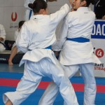 Österreichische Karate Meisterschaft 2024