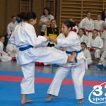 Österreichische Karate Meisterschaft 2024