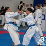 Österreichische Karate Meisterschaft 2024