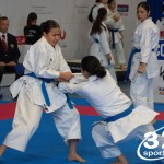 Österreichische Karate Meisterschaft 2024