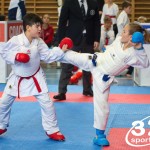 Österreichische Karate Meisterschaft 2024