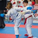 Österreichische Karate Meisterschaft 2024