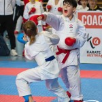 Österreichische Karate Meisterschaft 2024