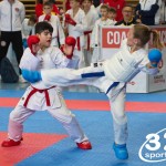 Österreichische Karate Meisterschaft 2024