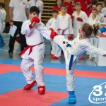 Österreichische Karate Meisterschaft 2024