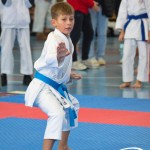 Österreichische Karate Meisterschaft 2024