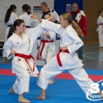 Österreichische Karate Meisterschaft 2024