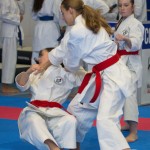 Österreichische Karate Meisterschaft 2024