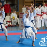 Österreichische Karate Meisterschaft 2024