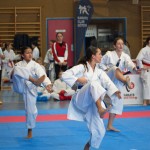 Österreichische Karate Meisterschaft 2024