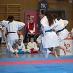 Österreichische Karate Meisterschaft 2024