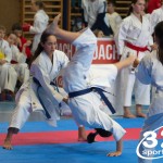 Österreichische Karate Meisterschaft 2024