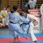 Österreichische Karate Meisterschaft 2024