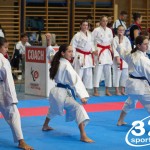 Österreichische Karate Meisterschaft 2024