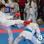 Österreichische Karate Meisterschaft 2024