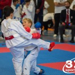 Österreichische Karate Meisterschaft 2024