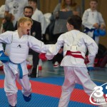 Österreichische Karate Meisterschaft 2024