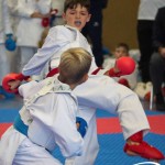 Österreichische Karate Meisterschaft 2024