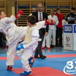 Österreichische Karate Meisterschaft 2024