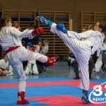 Österreichische Karate Meisterschaft 2024