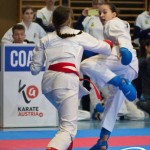 Österreichische Karate Meisterschaft 2024