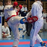 Österreichische Karate Meisterschaft 2024