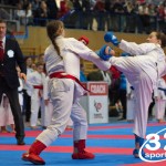 Österreichische Karate Meisterschaft 2024