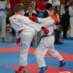 Österreichische Karate Meisterschaft 2024