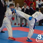 Österreichische Karate Meisterschaft 2024