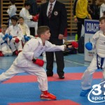 Österreichische Karate Meisterschaft 2024