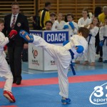 Österreichische Karate Meisterschaft 2024