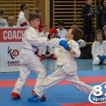 Österreichische Karate Meisterschaft 2024