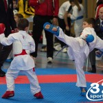 Österreichische Karate Meisterschaft 2024