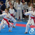 Österreichische Karate Meisterschaft 2024