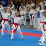 Österreichische Karate Meisterschaft 2024