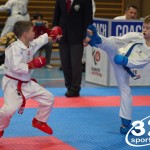 Österreichische Karate Meisterschaft 2024