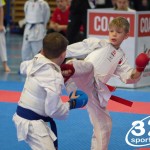 Österreichische Karate Meisterschaft 2024