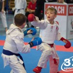 Österreichische Karate Meisterschaft 2024