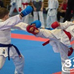 Österreichische Karate Meisterschaft 2024