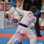 Österreichische Karate Meisterschaft 2024