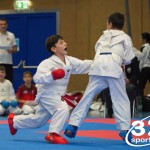 Österreichische Karate Meisterschaft 2024