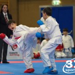 Österreichische Karate Meisterschaft 2024