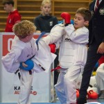 Österreichische Karate Meisterschaft 2024