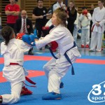 Österreichische Karate Meisterschaft 2024