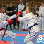 Österreichische Karate Meisterschaft 2024