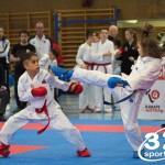 Österreichische Karate Meisterschaft 2024