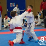 Österreichische Karate Meisterschaft 2024