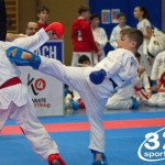 Österreichische Karate Meisterschaft 2024